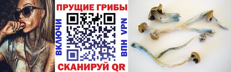 Галлюциногенные грибы Magic Shrooms  купить наркотик  Усолье 